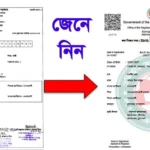জন্ম নিবন্ধন সার্টিফিকেট নমুনা 2025